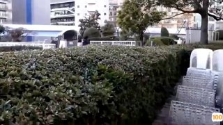 精华液一区二区区别